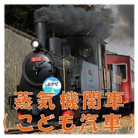 蒸気機関車(こども汽車)